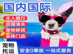三亚机场托运国际宠物托运 【国